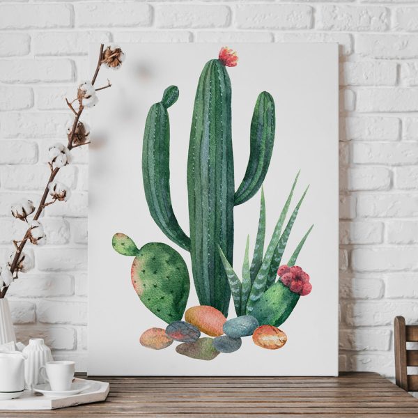 Aquarelle d'un cactus et de rochers Aquarelle d'un cactus et de rochers