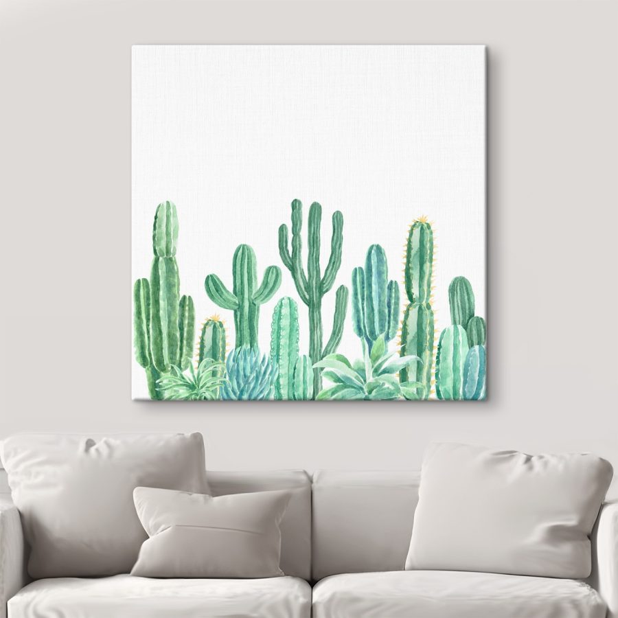 Groupe de cactus et de plantes grasses