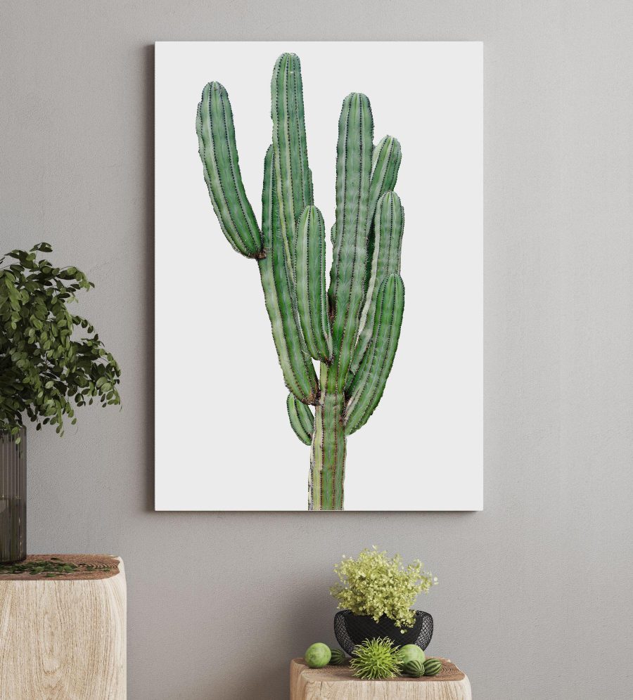 Cactus à longues tiges vertes et fines