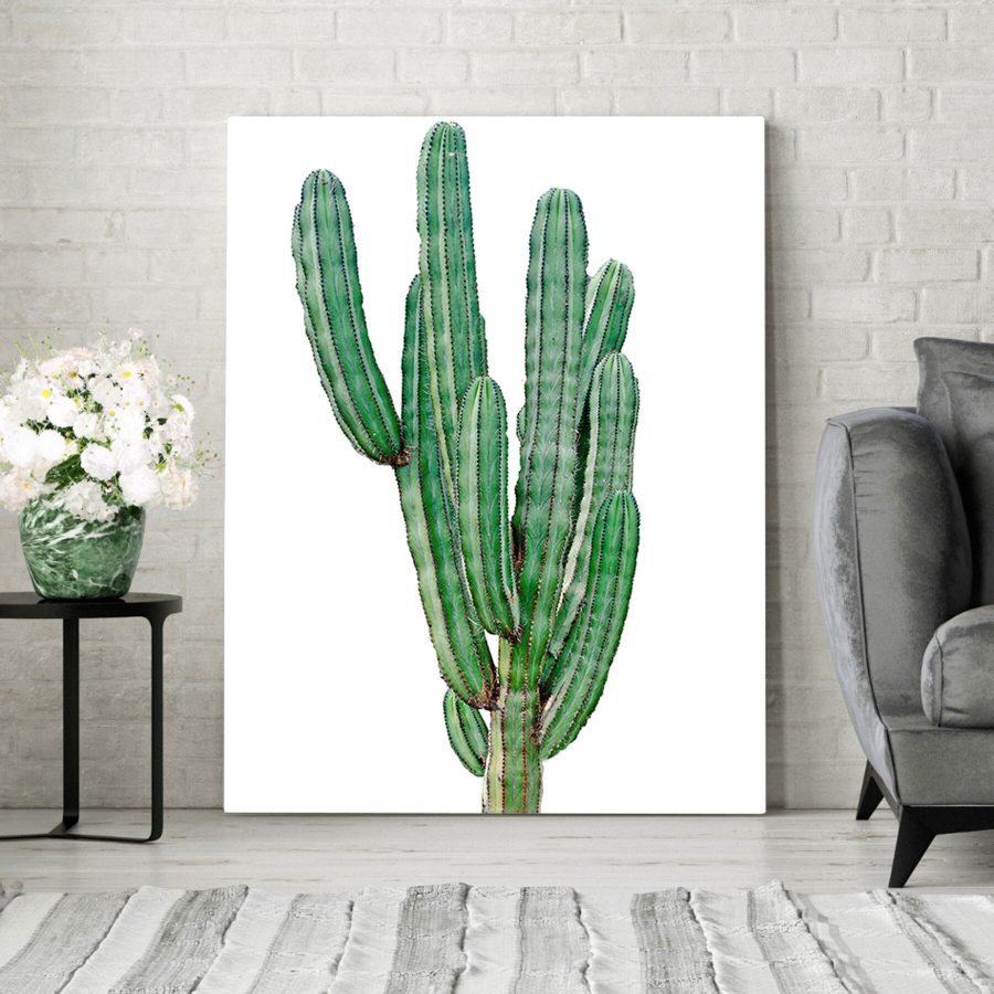 Cactus à longues tiges vertes et fines