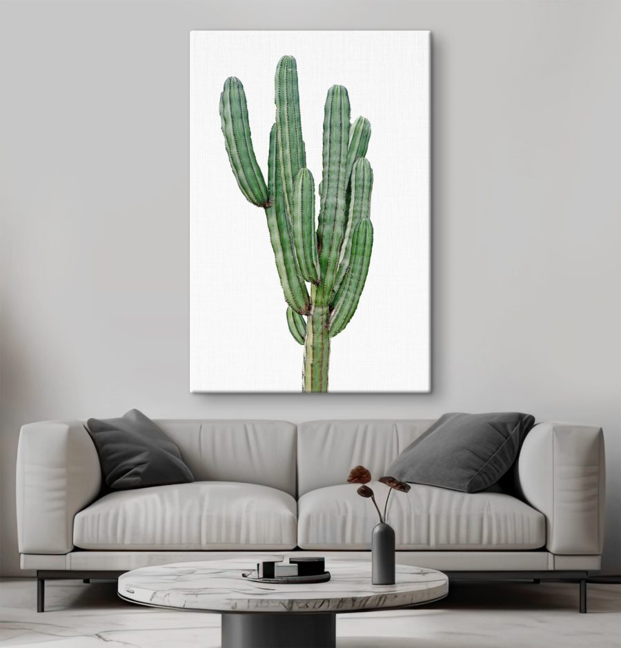 Cactus à longues tiges vertes et fines