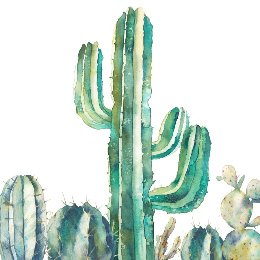 Aquarelle d'un cactus