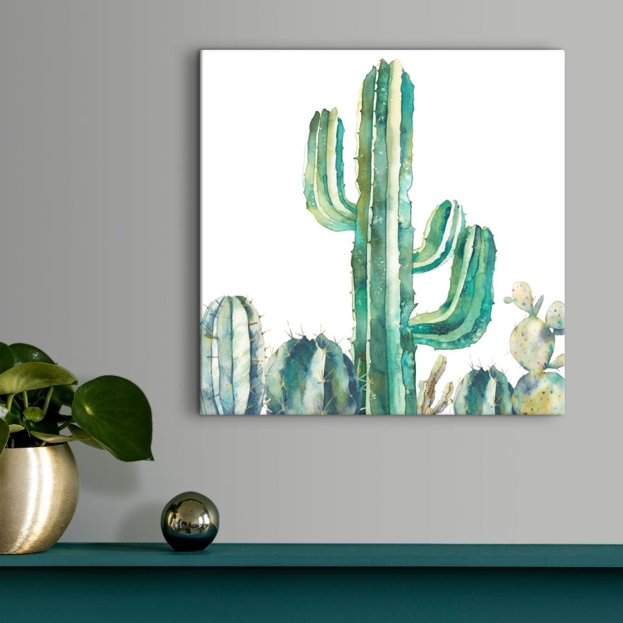 Aquarelle d'un cactus