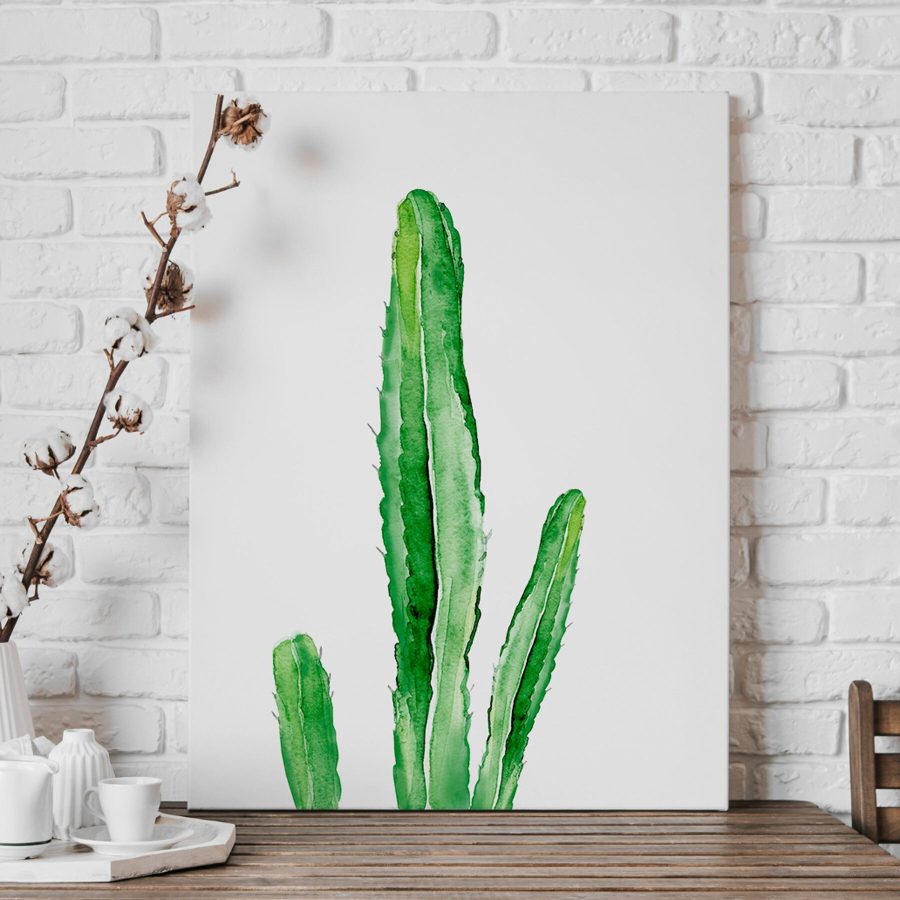Cactus vert à longues tiges