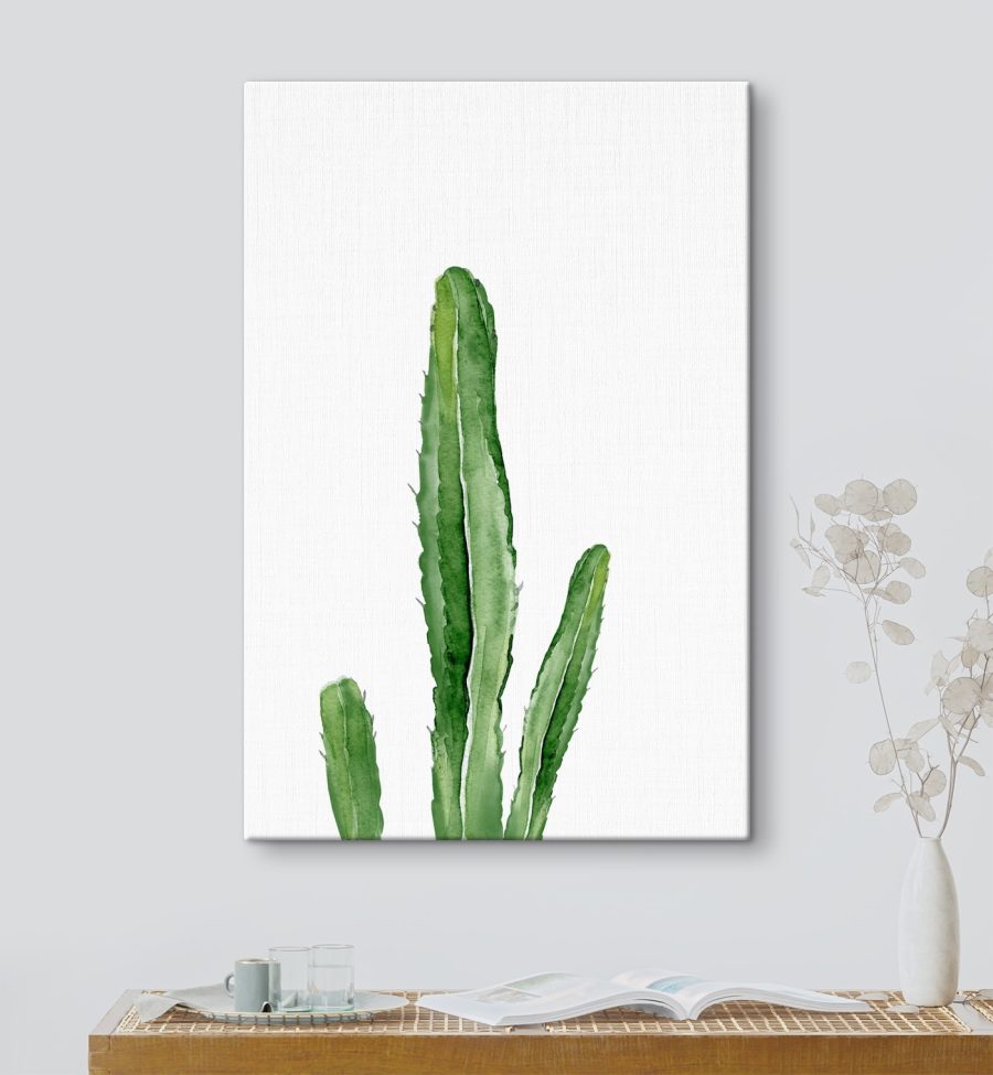 Cactus vert à longues tiges
