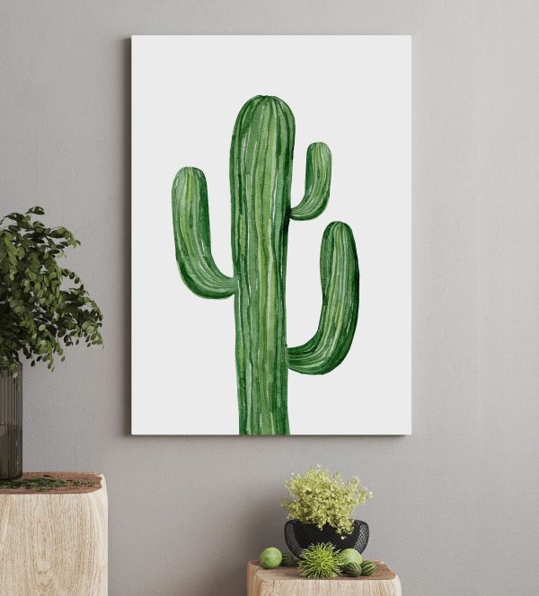 Cactus vert sur fond blanc Cactus vert sur fond blanc