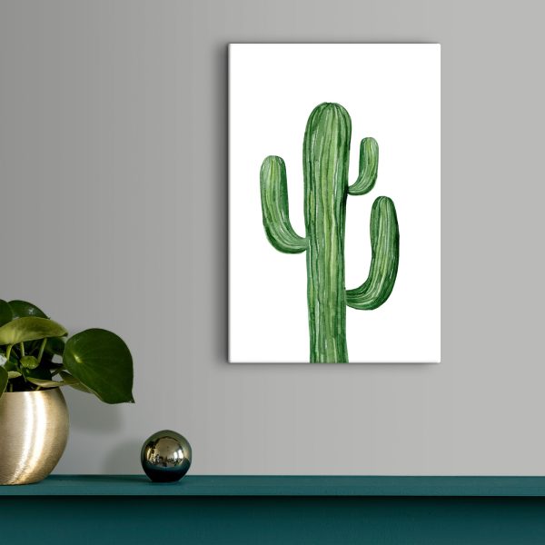 Cactus vert sur fond blanc Cactus vert sur fond blanc