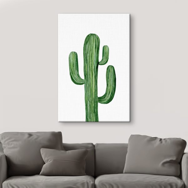 Cactus vert sur fond blanc Cactus vert sur fond blanc