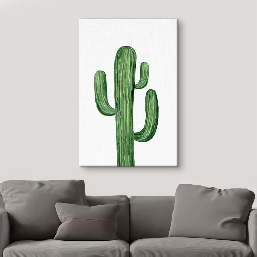 Cactus vert sur fond blanc Cactus vert sur fond blanc