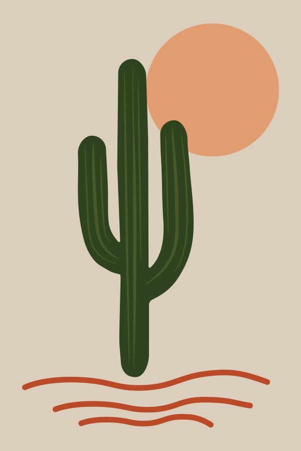 Cactus avec un soleil derrière lui Cactus avec un soleil derrière lui