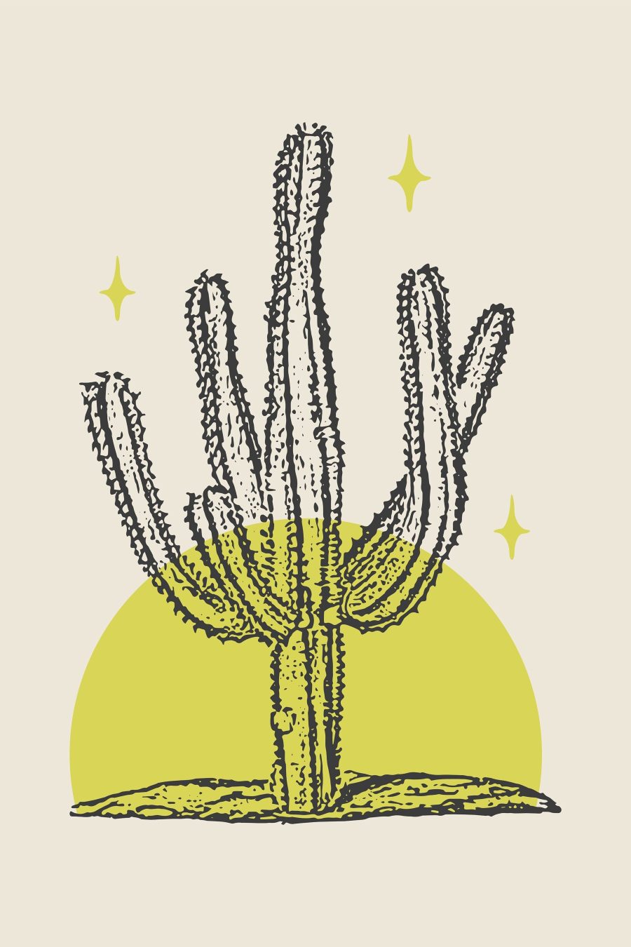 Cactus avec un cercle jaune et des étoiles