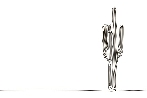 Cactus dessiné en une ligne Cactus dessiné en une ligne
