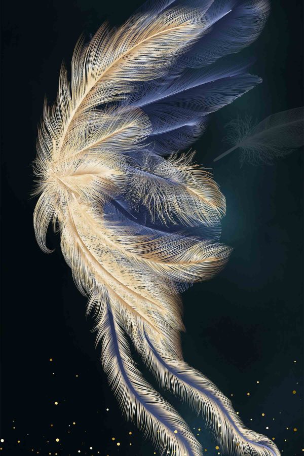 Plume éthérée en Nuit étoilée Plume éthérée en Nuit étoilée