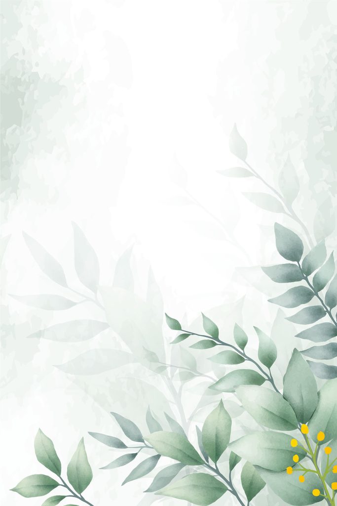 Green leaves on a white background