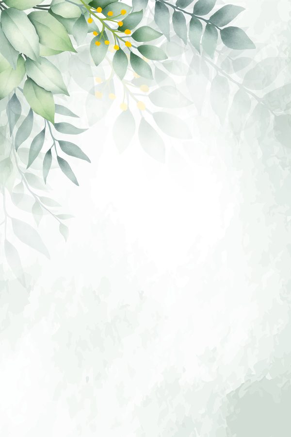 Fond blanc avec des feuilles vertes Fond blanc avec des feuilles vertes