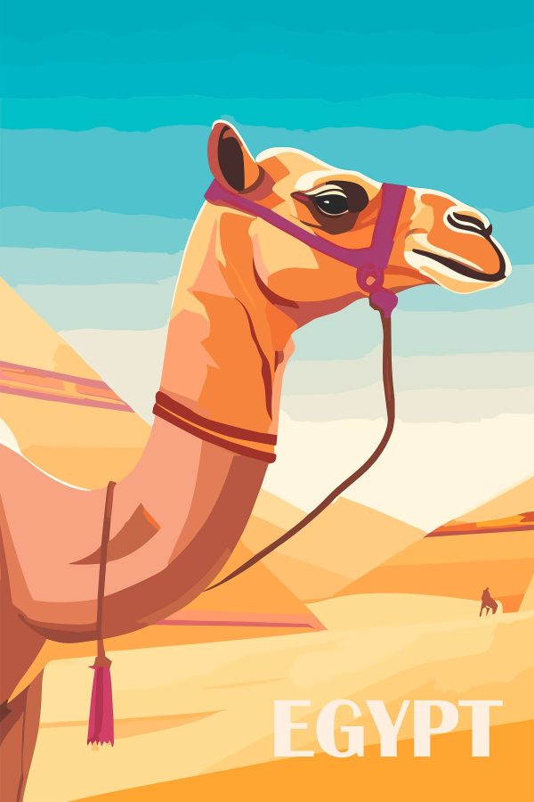 Camel avec dos nu Camel avec dos nu