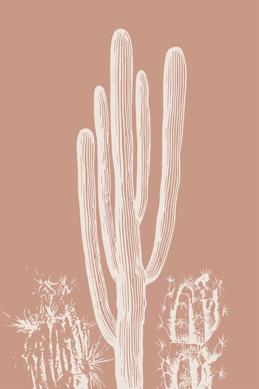 Cactus avec lignes blanches Cactus avec lignes blanches