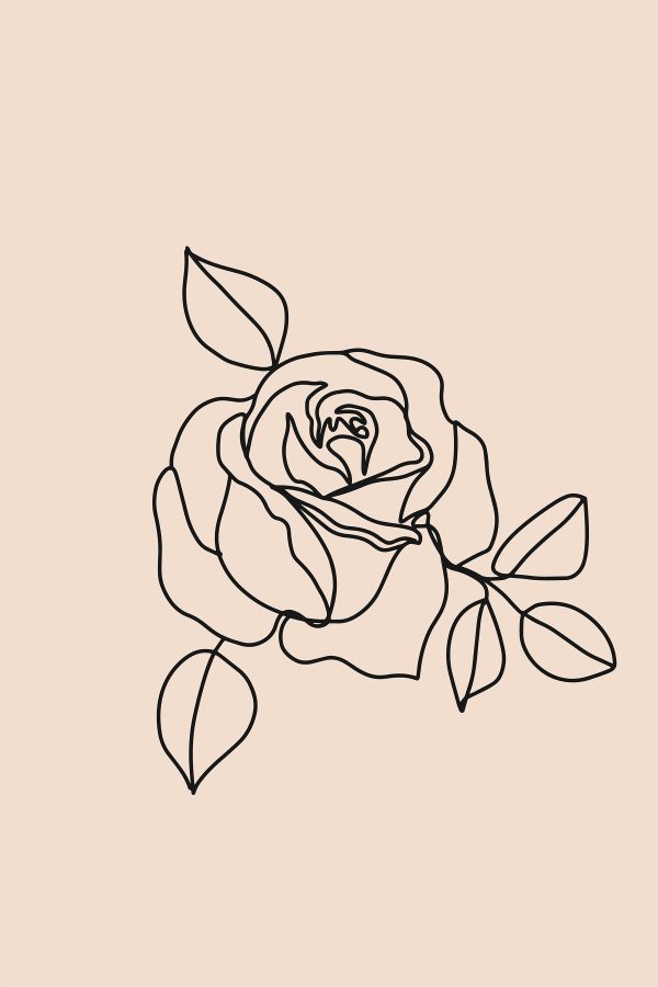 Dessin d'une rose Dessin d'une rose