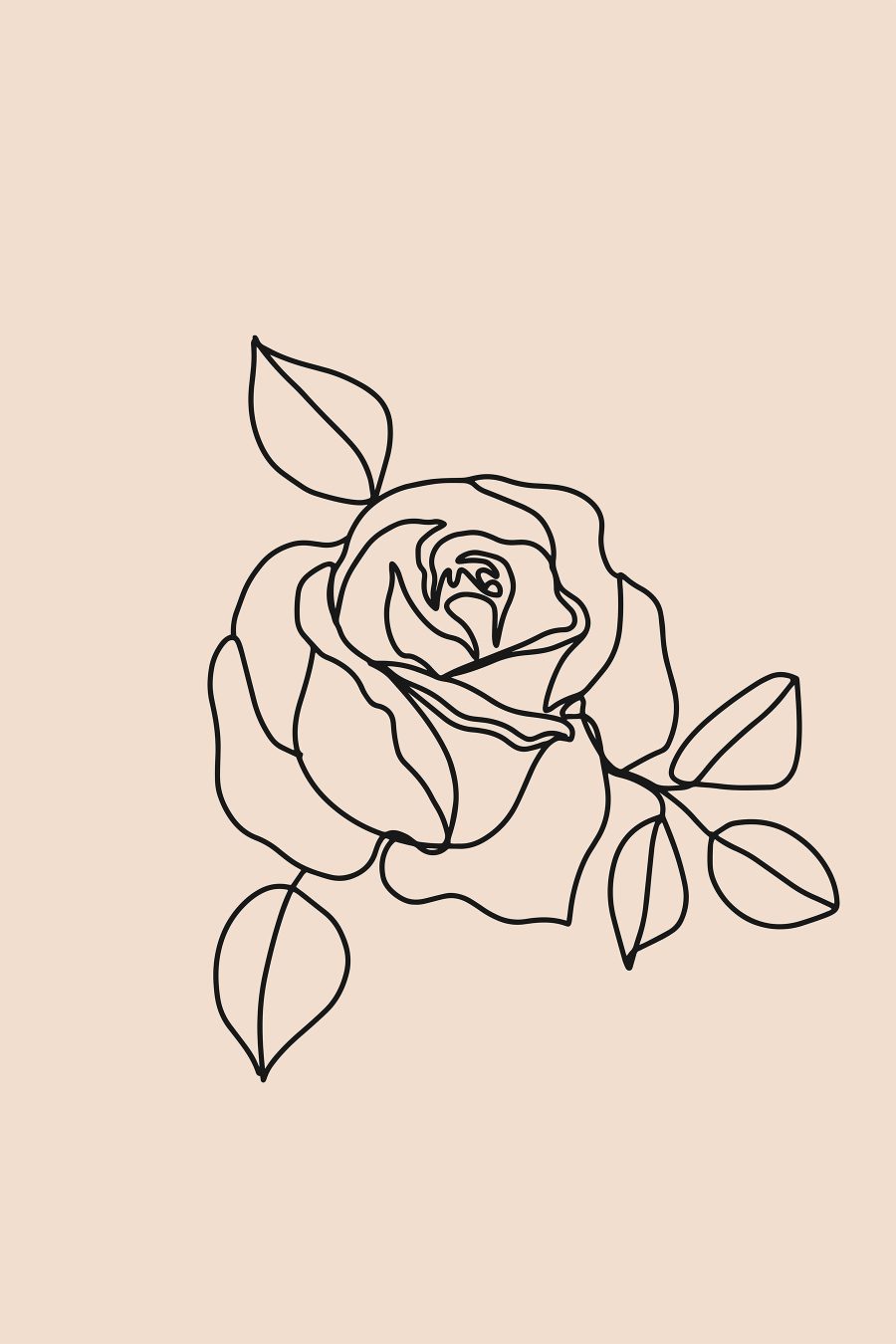 Dessin d'une rose Dessin d'une rose
