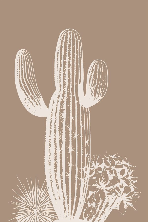 Cactus avec épines et fleurs Cactus avec épines et fleurs