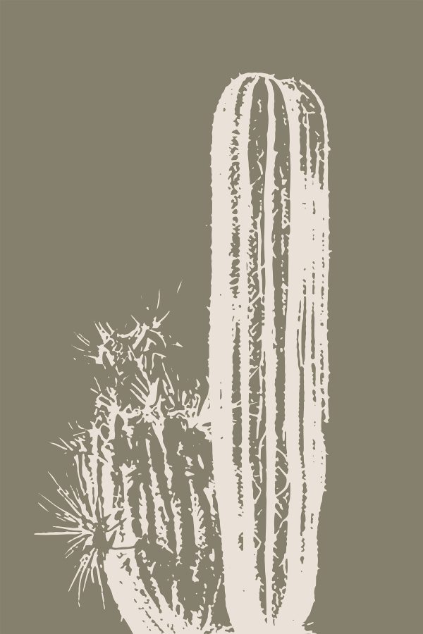 Cactus blanc sur fond brun Cactus blanc sur fond brun