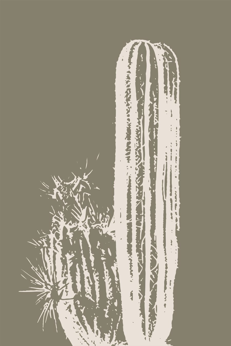 Cactus blanc sur fond brun Cactus blanc sur fond brun