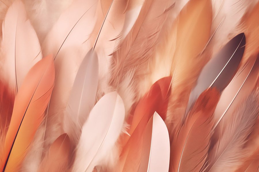 Groupe de plumes sur une surface
