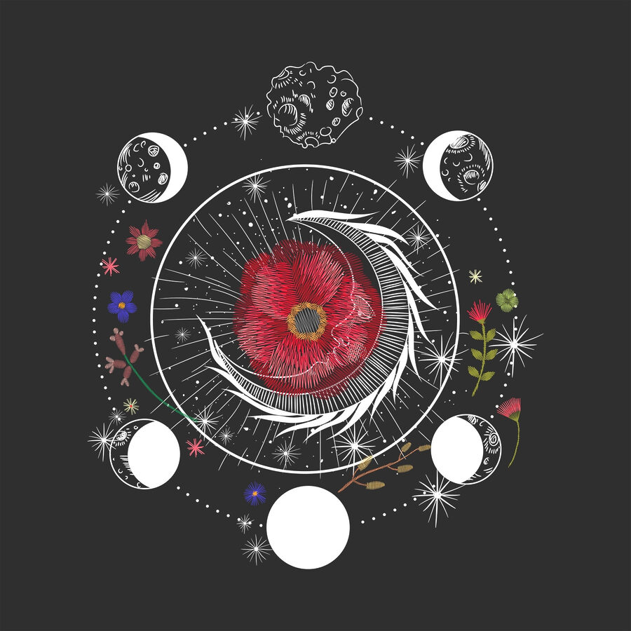 Dessin d'une fleur et des phases de la lune