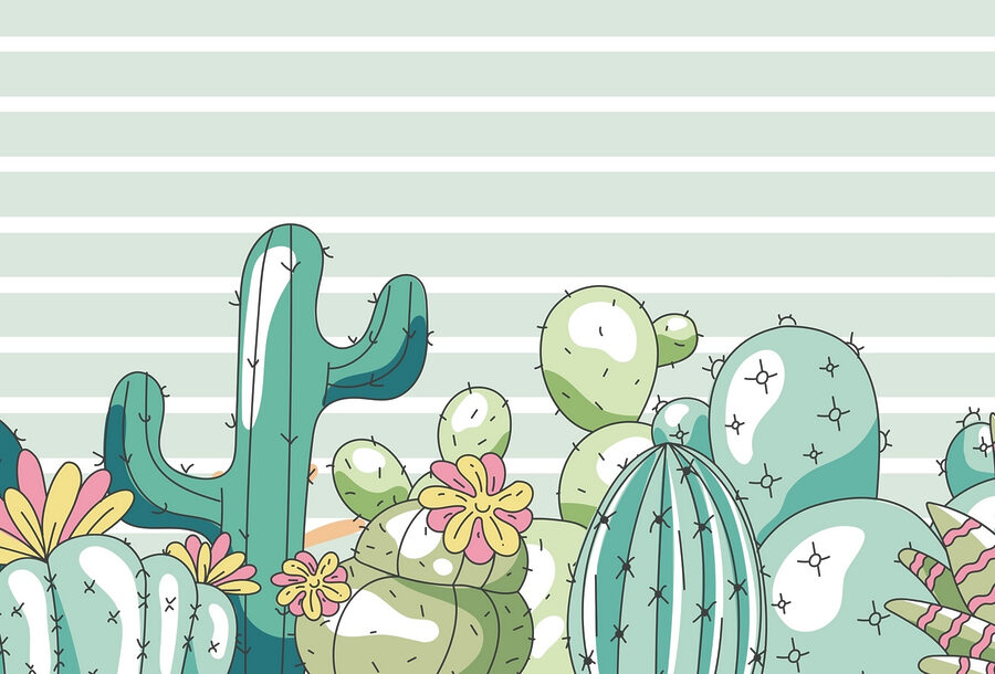 Groupe de cactus avec fleurs