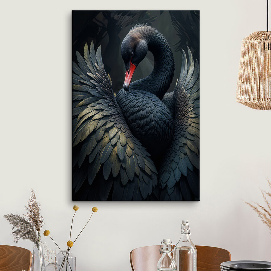 Cygne noir à bec rouge
