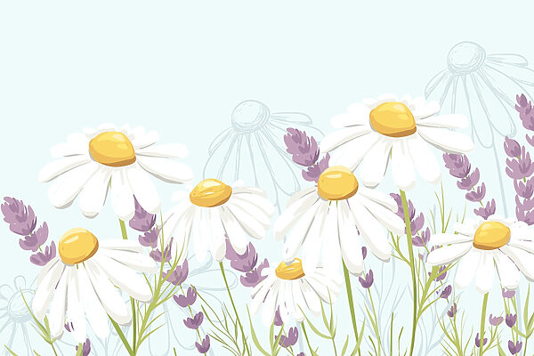 Groupe de fleurs blanches Groupe de fleurs blanches