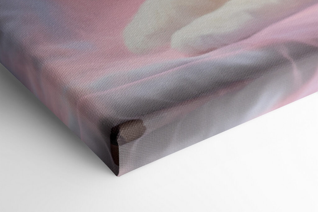 Black and white cat lying on a pink blanket