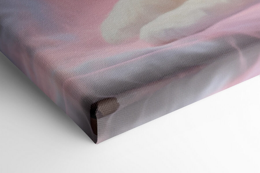 Chat noir et blanc couché sur une couverture rose Chat noir et blanc couché sur une couverture rose