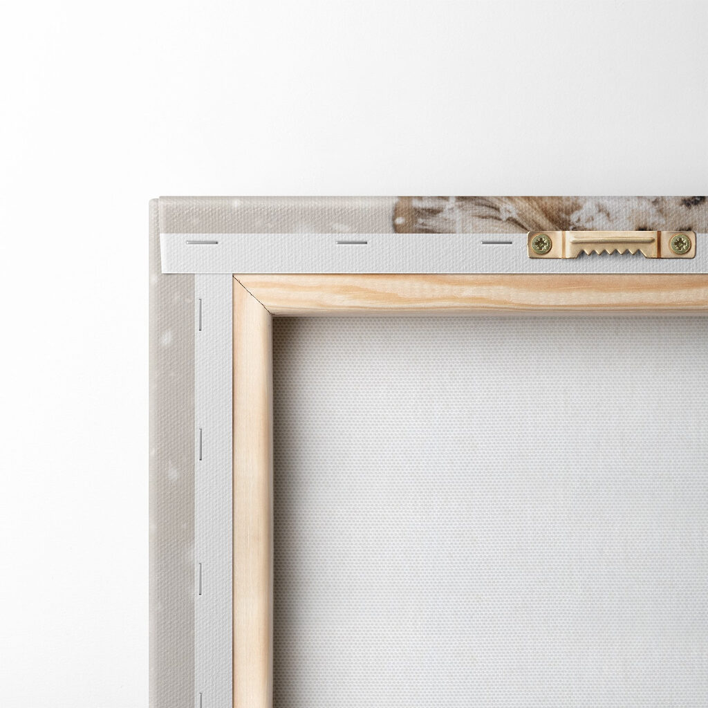 Snow leopard with snow on its head