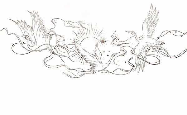 Dessin d'oiseaux et de soleil Dessin d'oiseaux et de soleil