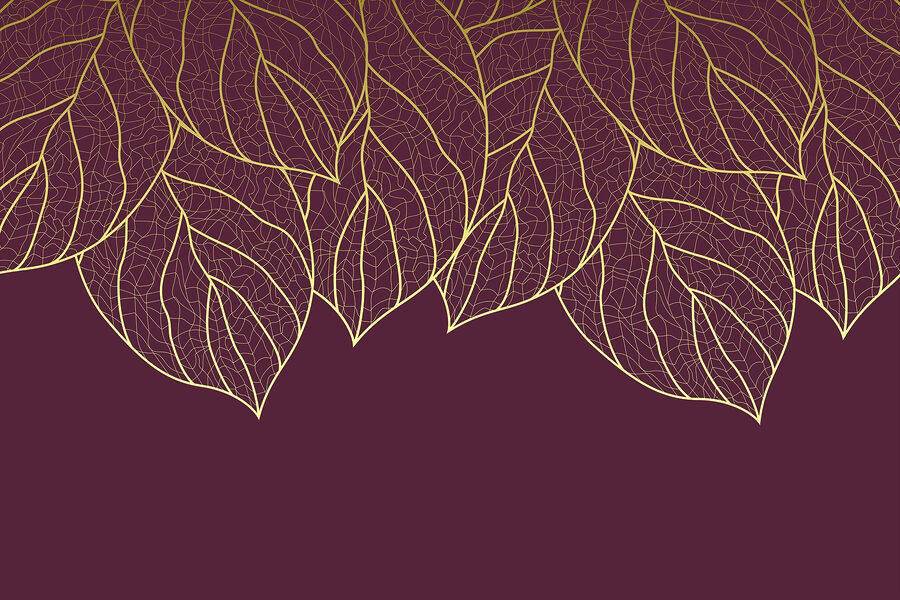 Feuilles élégantes sur fond marron foncé