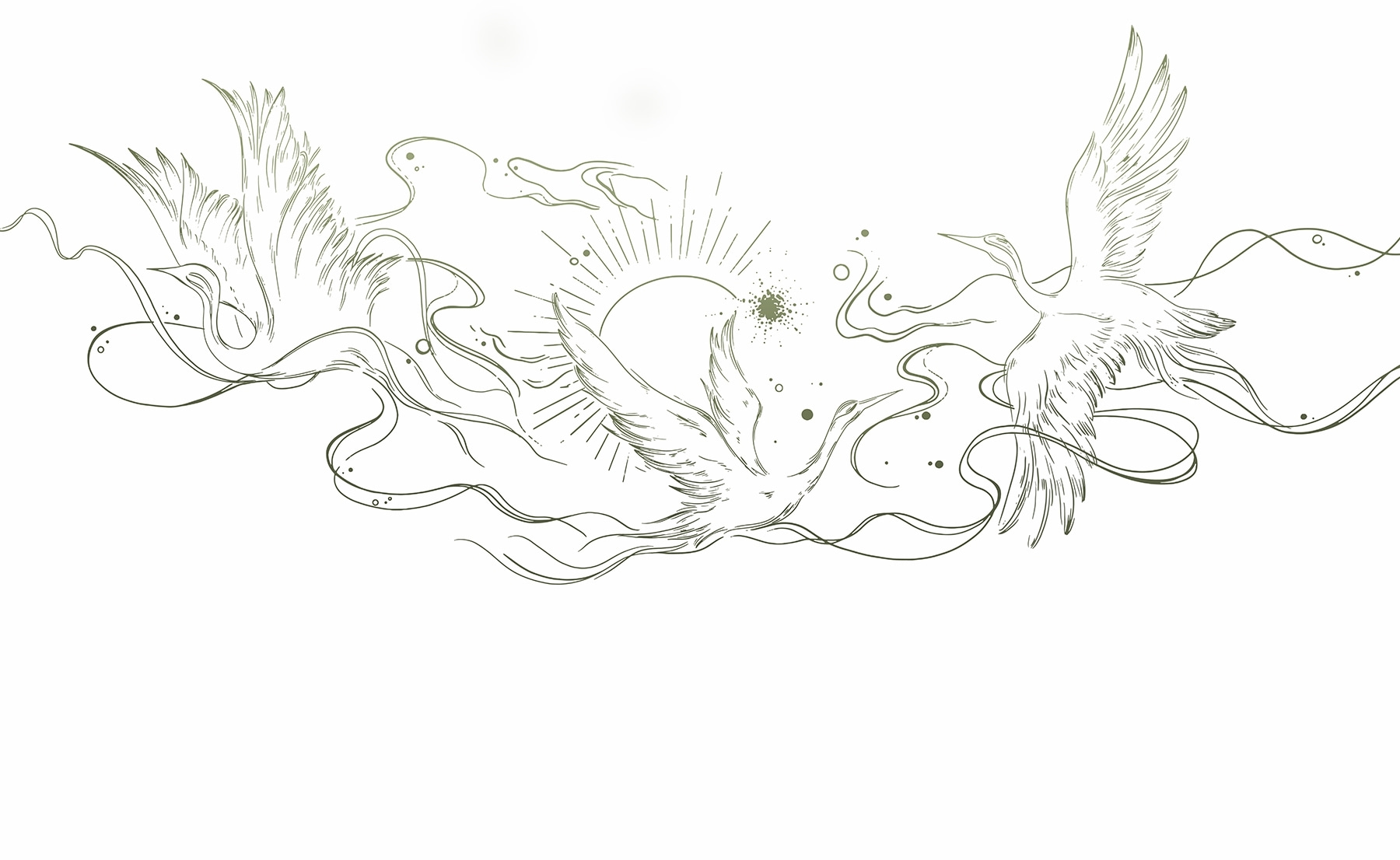 Drawing of birds and sun Drawing of birds and sun