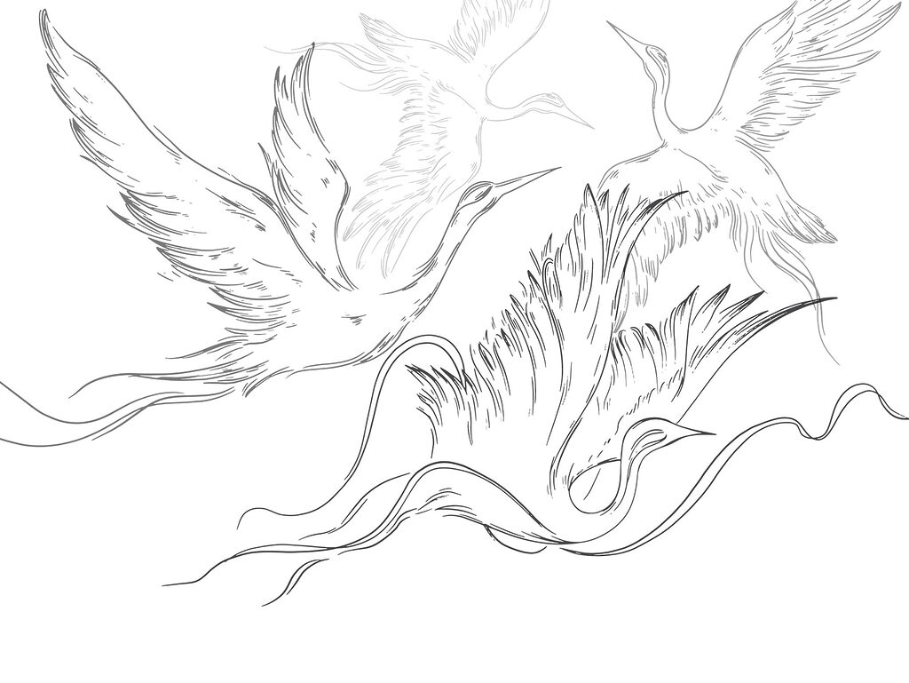 Dessin d'oiseaux en vol Dessin d'oiseaux en vol