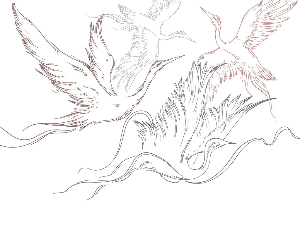 Dessin d'oiseaux en vol Dessin d'oiseaux en vol