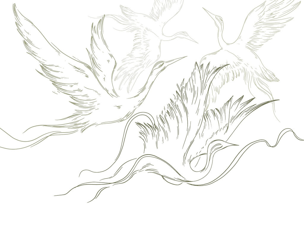 Dessin d'oiseaux en vol Dessin d'oiseaux en vol