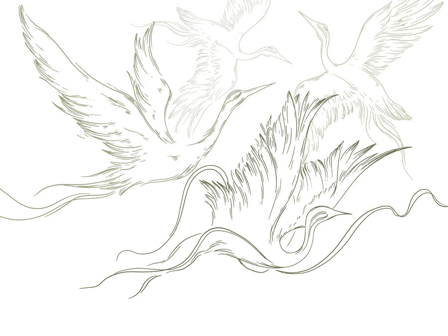 Dessin d'oiseaux en vol Dessin d'oiseaux en vol