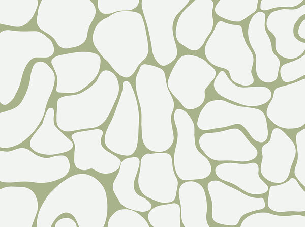 Motif blanc et vert Motif blanc et vert
