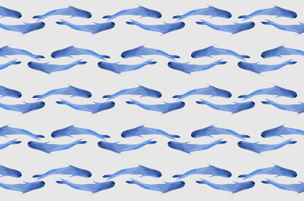 Groupe de poissons bleus Groupe de poissons bleus