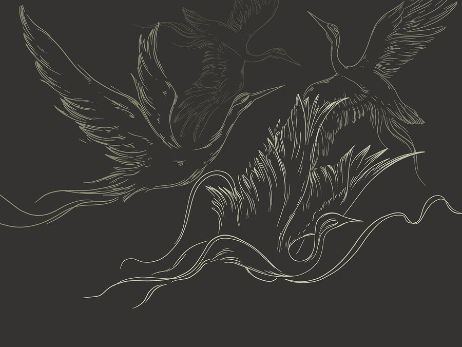 Dessin d'oiseaux en vol Dessin d'oiseaux en vol