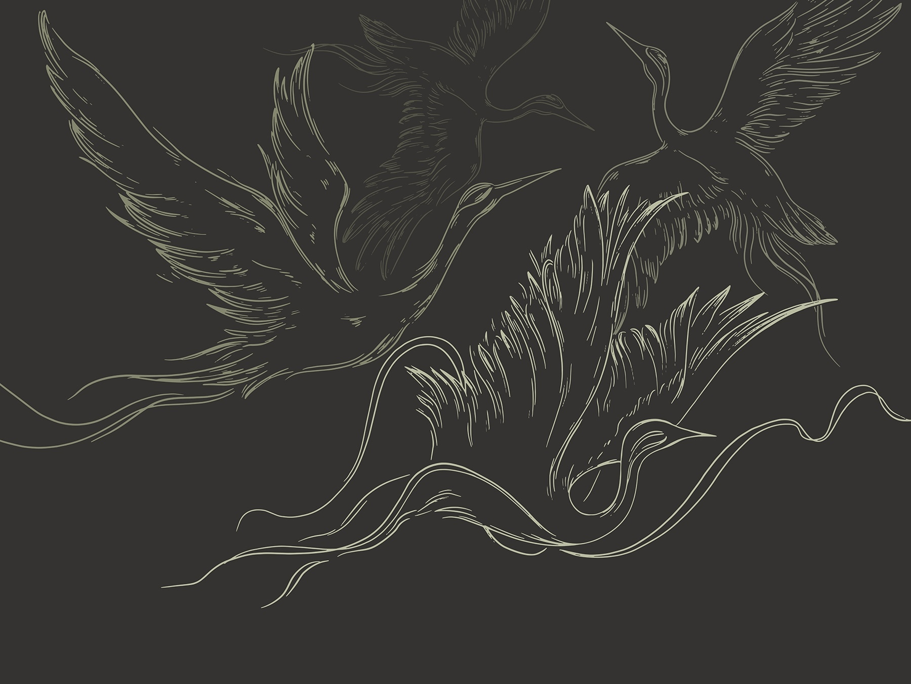 Drawing of birds flying