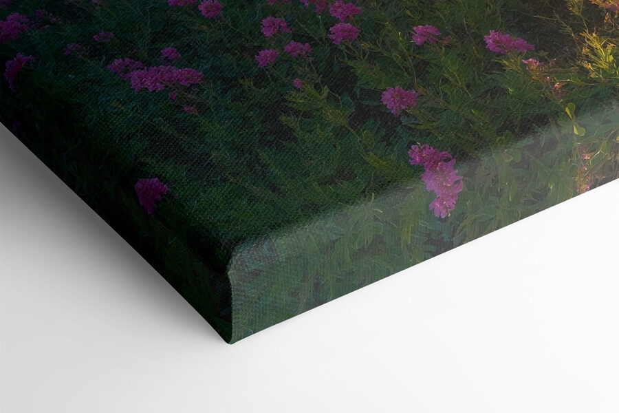 Champ de fleurs avec des montagnes en arrière-plan