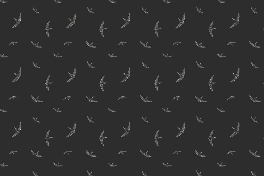 Motif d'oiseaux blancs sur fond noir Motif d'oiseaux blancs sur fond noir
