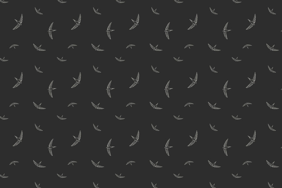 Motif d'oiseaux blancs sur fond noir
