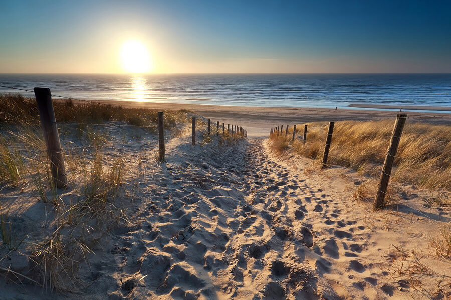 Chemin vers la plage
