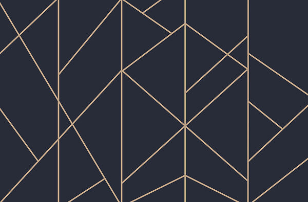 Modèle de triangles et de lignes Modèle de triangles et de lignes